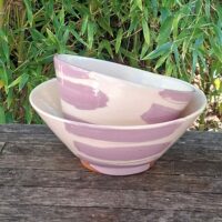 Saladier ZEBRA parme