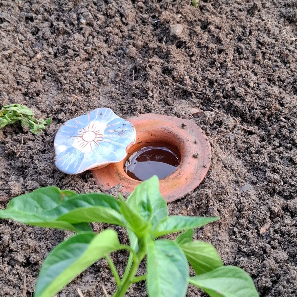 olla-en-terre-cuite